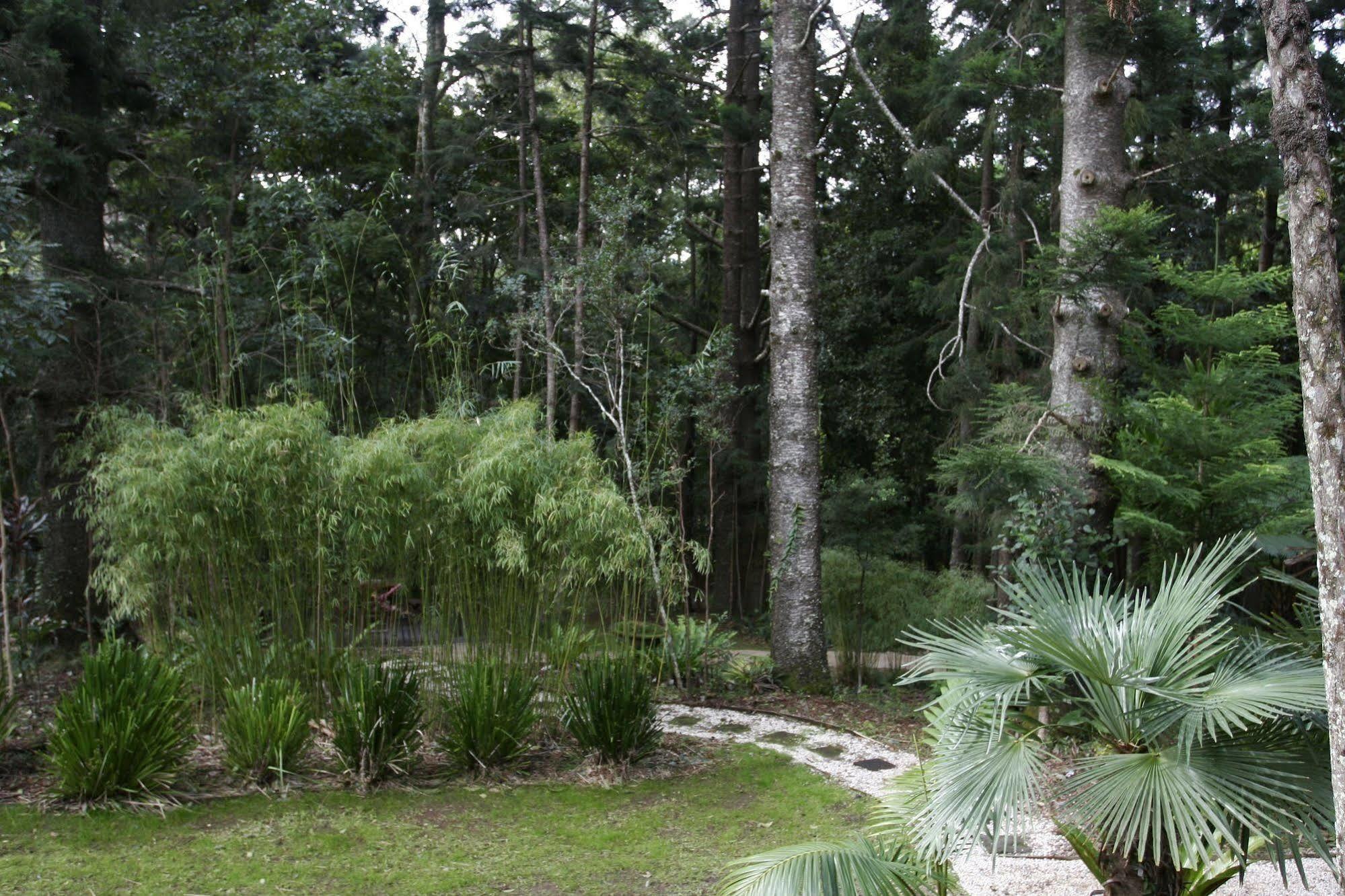 Azabu Retreat & Spa Byron Bay Exterior photo